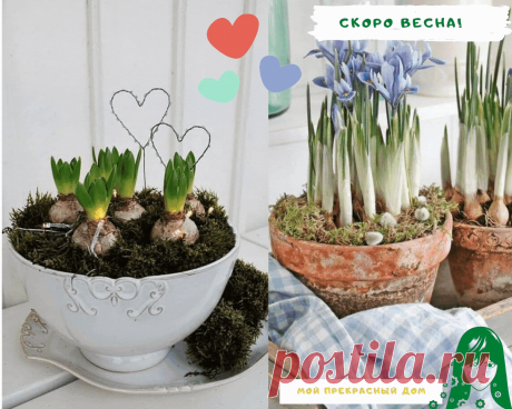 Весеннее настроение 💚