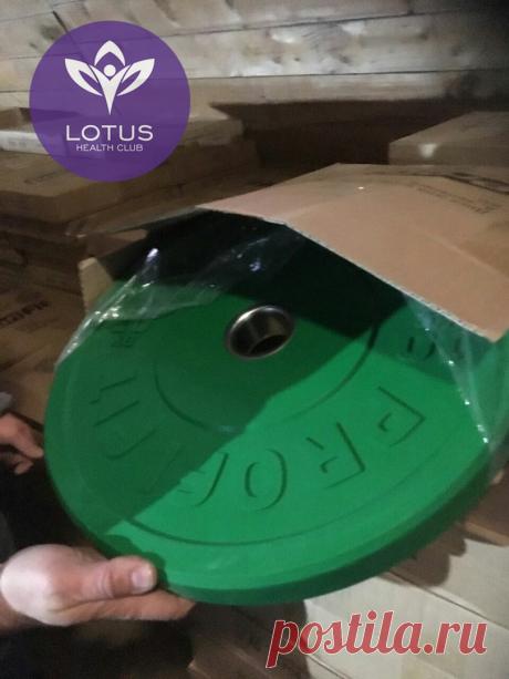 Фитнес клуб LOTUS HEALTH CLUB Стерлитамак