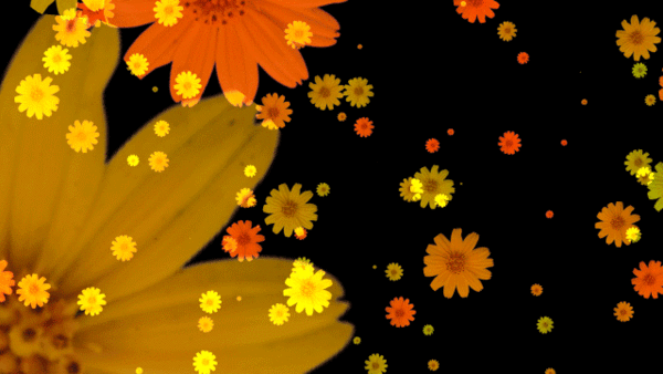 Плейкаст «Ах, эта ночь...ах ,эти губы....»