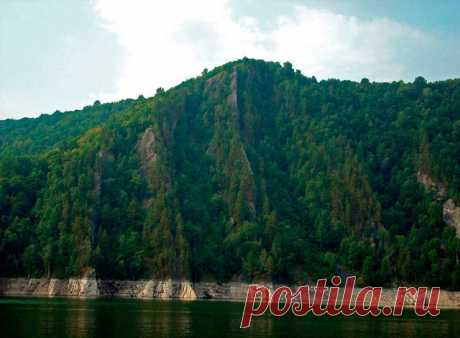 Флария )
Россия, Россия