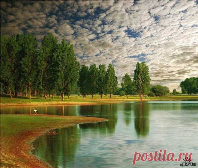 Мир в Фотографии - World In Photo 514 » ALLDAY - народный сайт о дизайне