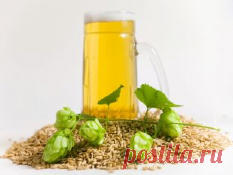 Сам себе пивовар: три самых простых рецепта домашнего пива | Продукты и напитки | Кухня | Аргументы и Факты