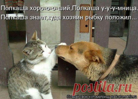 Новости