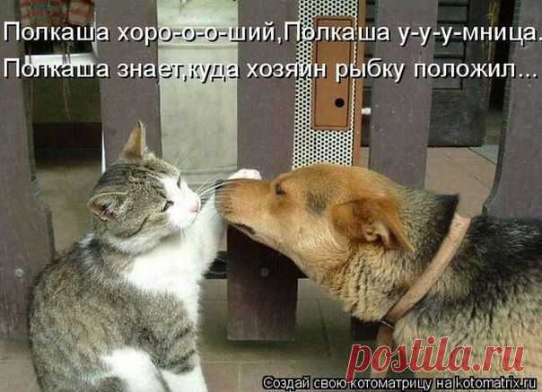 Новости