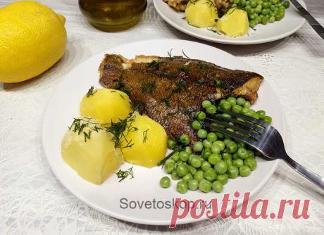 Камбала запечённая в духовке с зеленью - Советоскоп