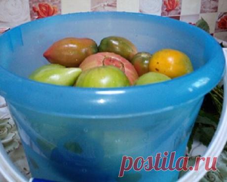 Помидоры соленые, холодным способом, как бочковые. | Сад для души. | Яндекс Дзен