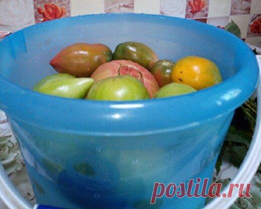 Помидоры соленые, холодным способом, как бочковые. | Сад для души. | Яндекс Дзен