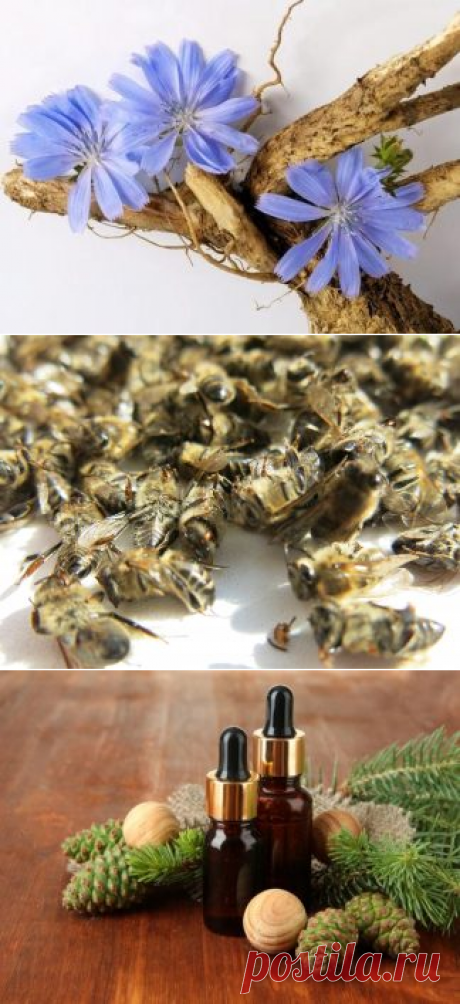 Бабушкины рецепты: лечим себя сами