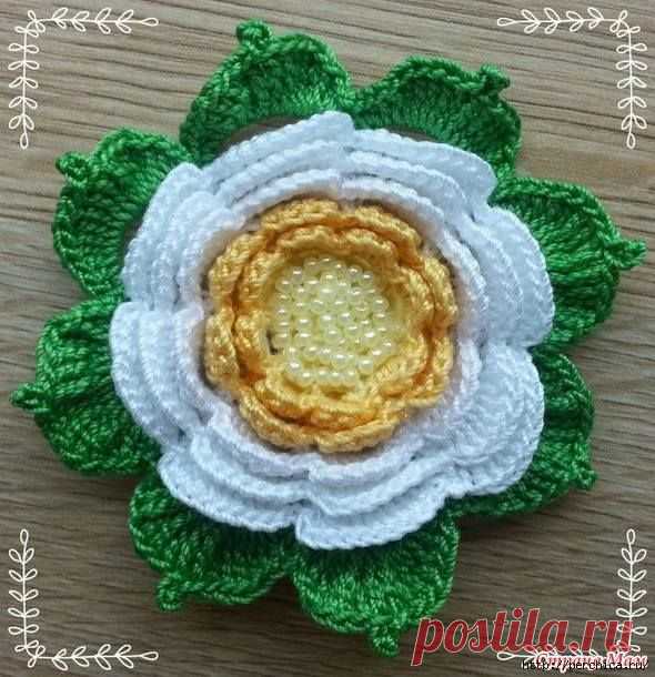 (1) Facebook
