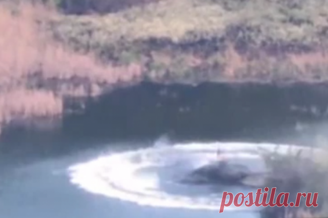 Украинский танк утонул в озере после меткого выстрела российских бойцов. Два танкиста ВСУ убежали, ещё один остался на дне водоёма.