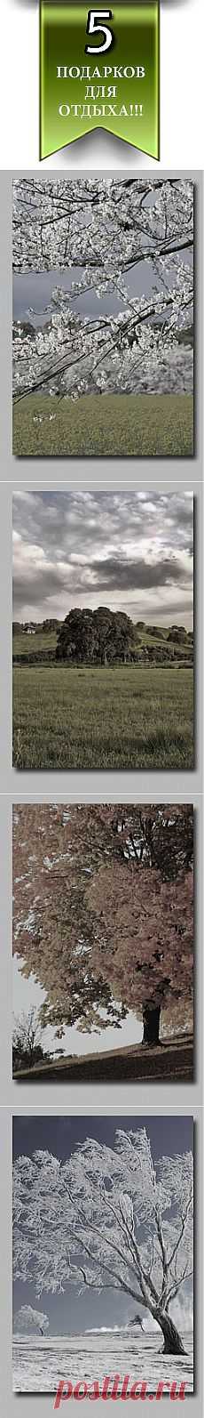 MuzRelax.ru - Ваш островок спокойствия в океане Интернет