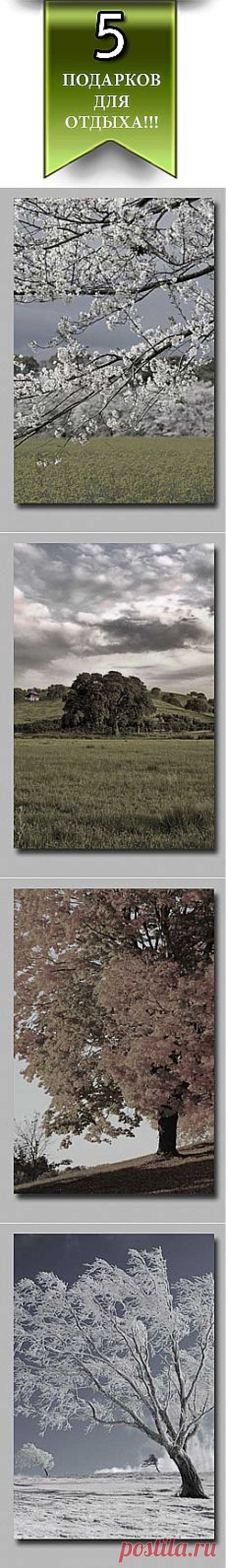 MuzRelax.ru - Ваш островок спокойствия в океане Интернет