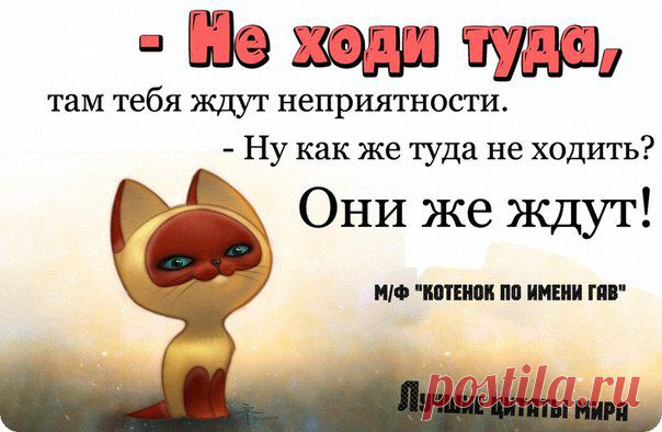 Новости