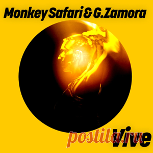 Monkey Safari, G.Zamora - Vive | 4DJsonline.com