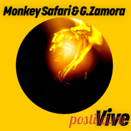 Monkey Safari, G.Zamora - Vive | 4DJsonline.com