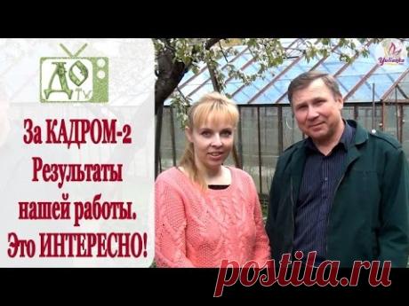 Это ИНТЕРЕСНО! За КАДРОМ Дел Огородных -2. Результаты нашей работы. Vlog