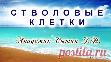 СТВОЛОВЫЕ КЛЕТКИ Для женщин