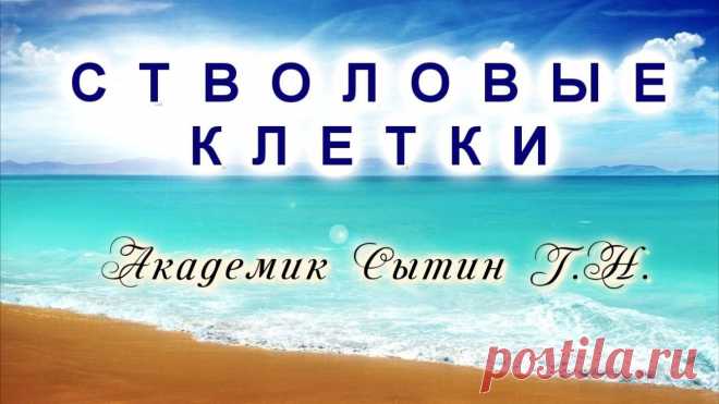 СТВОЛОВЫЕ КЛЕТКИ Для женщин