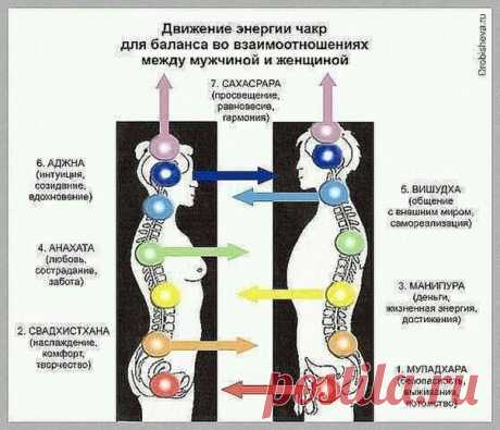Как сделать из мужа миллионера? Или почему не работают тренинги по вдохновению мужчин? Во всем виноваты чакры, секс и беспорядок дома...  Сейчас изучаю энергетический обмен между мужчиной и женщиной. На днях меня озарило, чего не хватает для 100% вдохновения мужчины, кроме благодарностей, просьб и комплиментов. Раскрываю все секреты в этом посте...

Сразу скажу, что эта схема работает для настоящих мужа и жены. (Гражданский брак и другие виды сожительства в эту схему не вп...