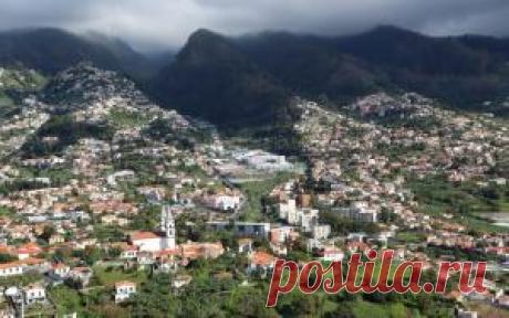 Какие работы в весеннем саду не могут подождать? | Растения