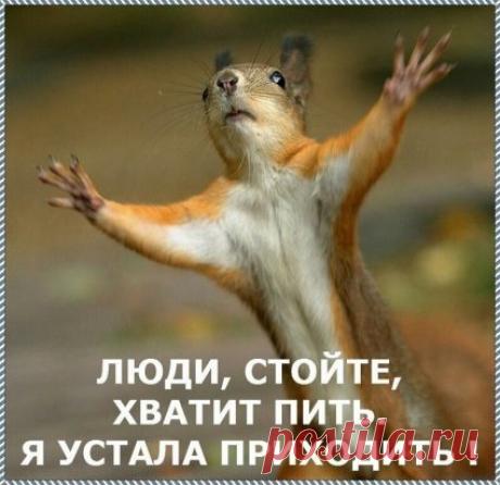 .. Мама, мама, вытрезвитель сгорел!
- Откуда ты знаешь?
- Папа идет и поёт: "Враги сожгли родную хату"