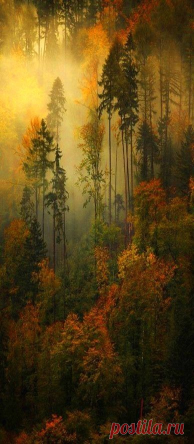 Найдено на сайте spiritualdrgnfly.tumblr.com.