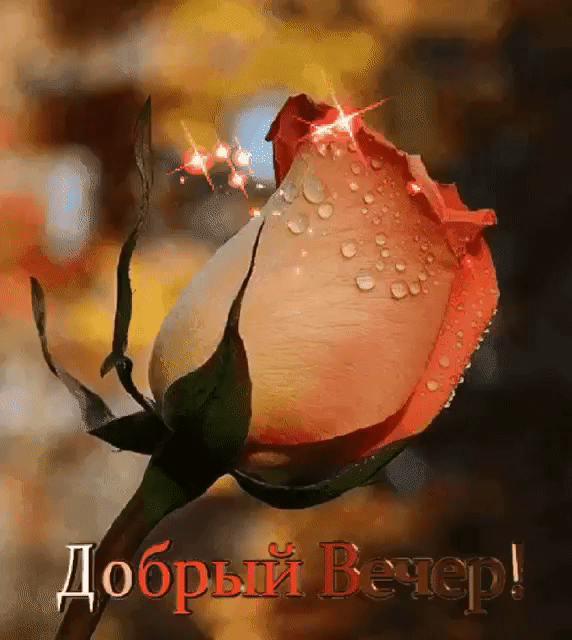 ღ