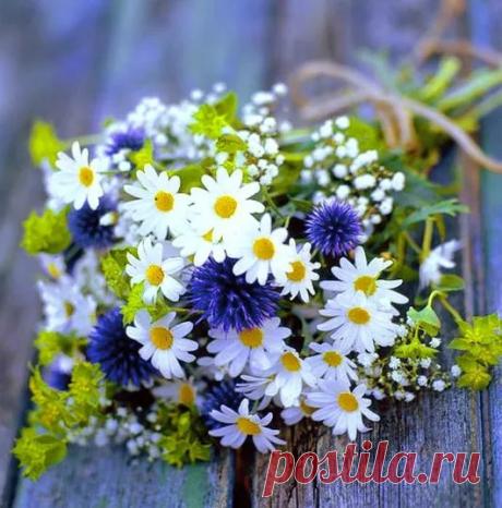 Фото – Google+