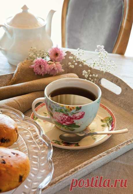 Comtesse du Chocolat : Photo