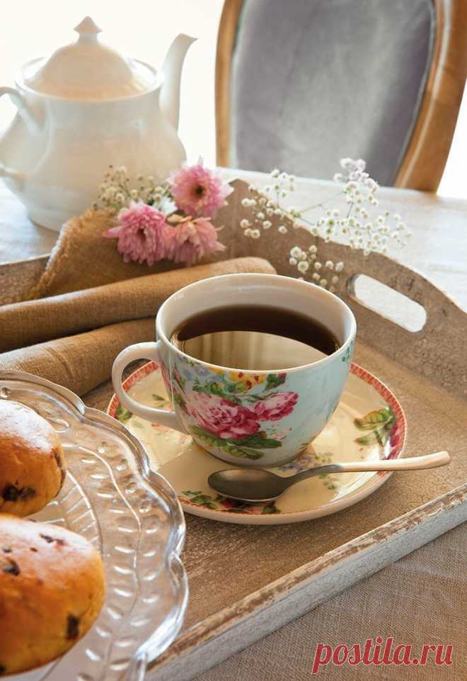 Comtesse du Chocolat : Photo