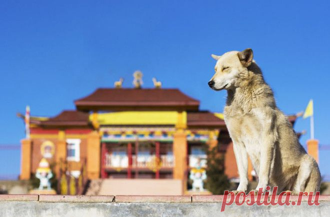 Увлекательные факты о необычной и прекрасной Бурятии