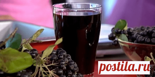 На даче 4 огромных куста бесполезной черноплодки, которую съедали птицы, а теща не давала вырубить: чтобы не пропала, начал гнать вино