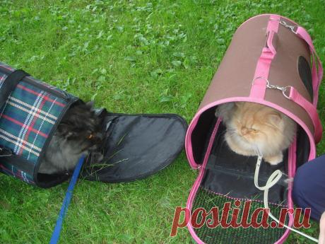 мы так погуляем))) не кантовать!!!