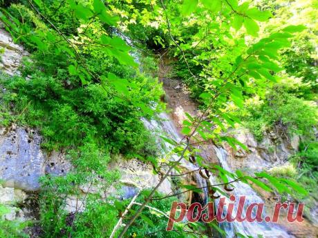 Летом, в окрестностях Мезмая - 22 Июля 2015 - Персональный сайт