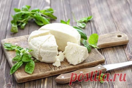 Приготовление брынзы в домашних условиях: рецепты и тонкости