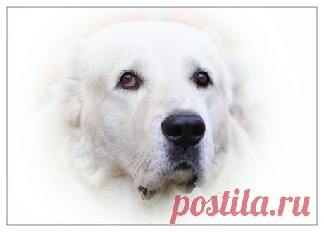 35PHOTO - Lilia Tkachenko - Бах