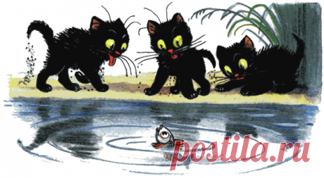 Сказки Владимира Сутеева