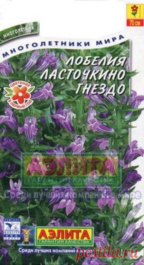 Лобелия "Ласточкино гнездо", многолетник