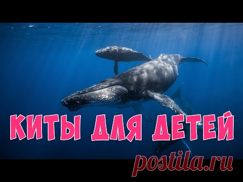 Киты для детей | Развивающие видео для детей | Карточки Домана - YouTube