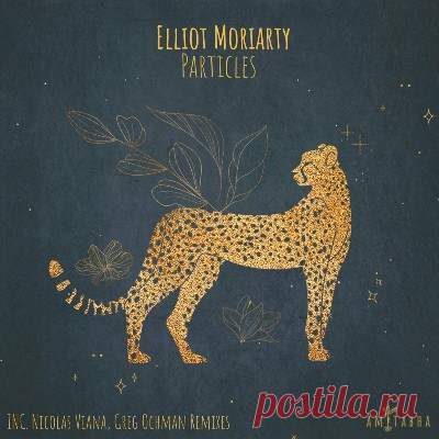 Elliot Moriarty – Particles