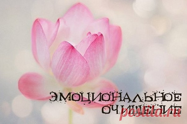 Эмоциональное очищение

Все болезни закладываются в первую очередь не в физическом теле. Поэтому от ментальных и эмоциональных проблем тоже очень важно очищаться.

Даже современные медики пришли к выводу, что многие физические болезни возникают из-за негативных мыслей и эмоций. Если человек пессимистичный или со злостью о ком-то думает, это отражается на нем же.

Для эмоционального очищения:

● Старайтесь избавляться от негативных эмоций. Особенно разрушительна эмоция гнев...