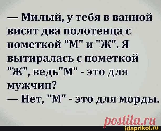 Выпуск №6439 - выпуск анекдотов сайта вокруг смеха