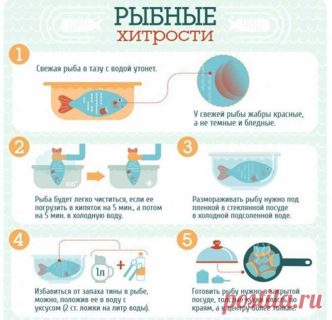 А вы любите рыбку? Держите несколько дельных советов: