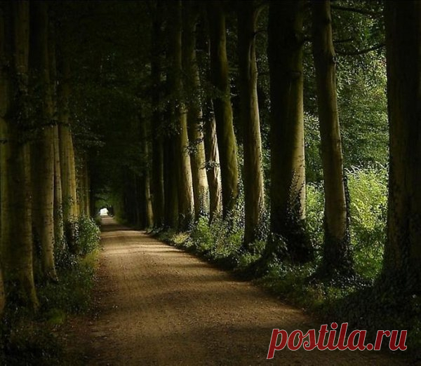 Красивые дороги В этом посте предлагаю полюбоваться на удивительные и очень красивые дороги, которые существуют в различных городах мира. Удивительно, как такие дороги вообще могли появиться на свет. Некоторые из них больше похожи...