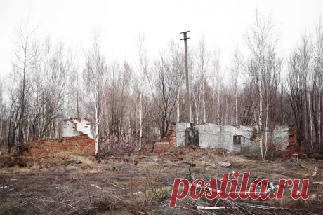 Военно-строительный отряд в/ч11830 Селихино: 294 изображения найдено в Яндекс.Картинках