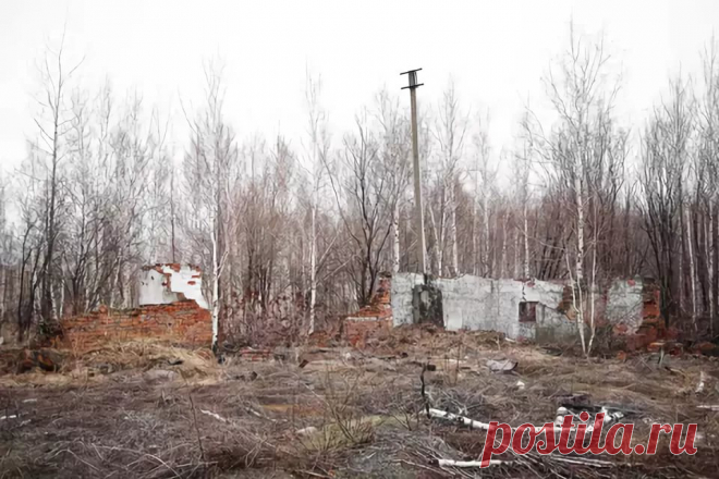 Военно-строительный отряд в/ч11830 Селихино: 294 изображения найдено в Яндекс.Картинках