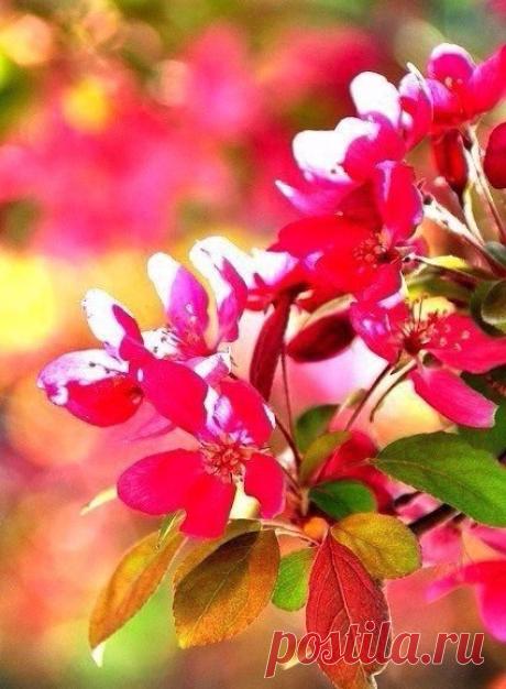 Доброе утро, мои дорогие, мои любимые друзья!!!😘