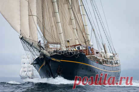 Альбом 19 «Галерея 19« Tall Ship расы