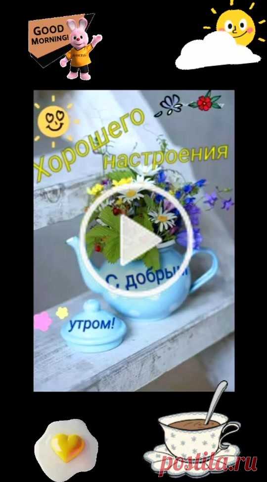 #доброеутро #чудесногонастроениявсем #рекомендации Пользователь Таня (@_tanya28) создал короткое видео в TikTok (тикток) с песней оригинальный звук. | #доброеутро #чудесногонастроениявсем #рекомендации