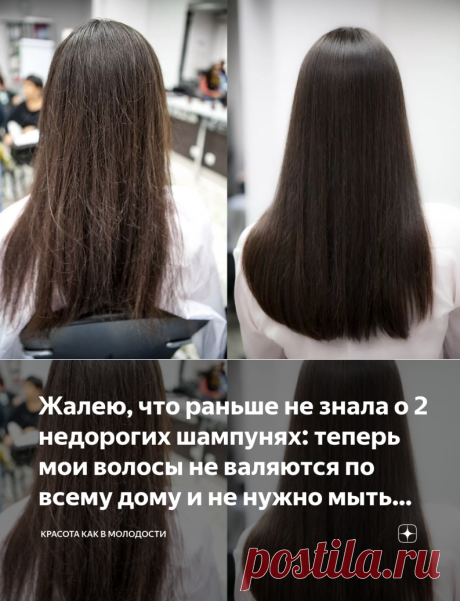 Жалею, что раньше не знала о 2 недорогих шампунях: теперь мои волосы не валяются по всему дому и не нужно мыть пол каждый день | Красота как в молодости | Яндекс Дзен
